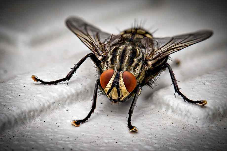 Utiliser des méthodes naturelles