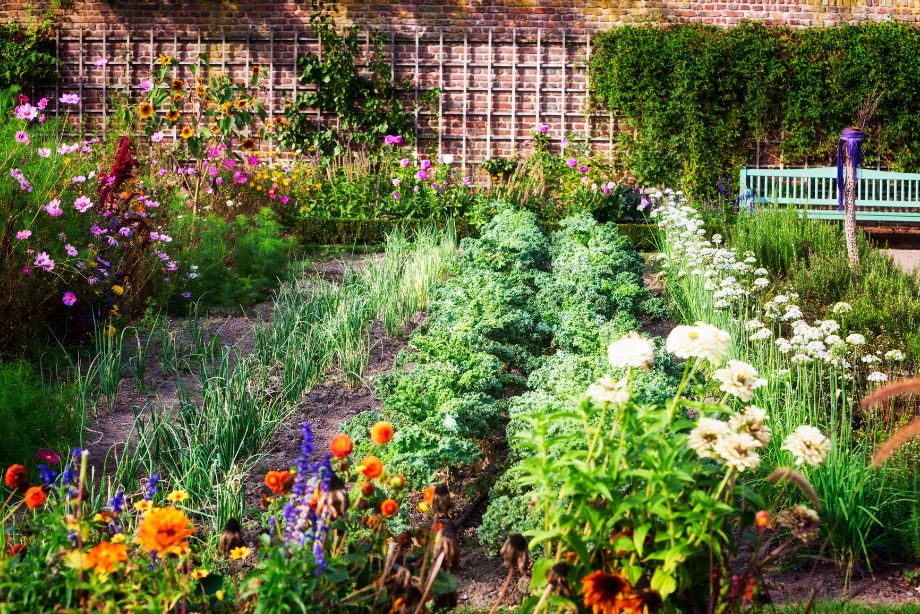 Comment aménager un potager dans votre jardin ?