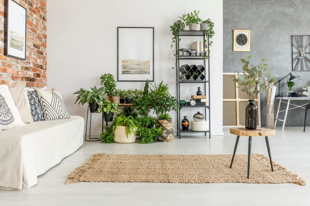 comment nettoyer tapis de jute