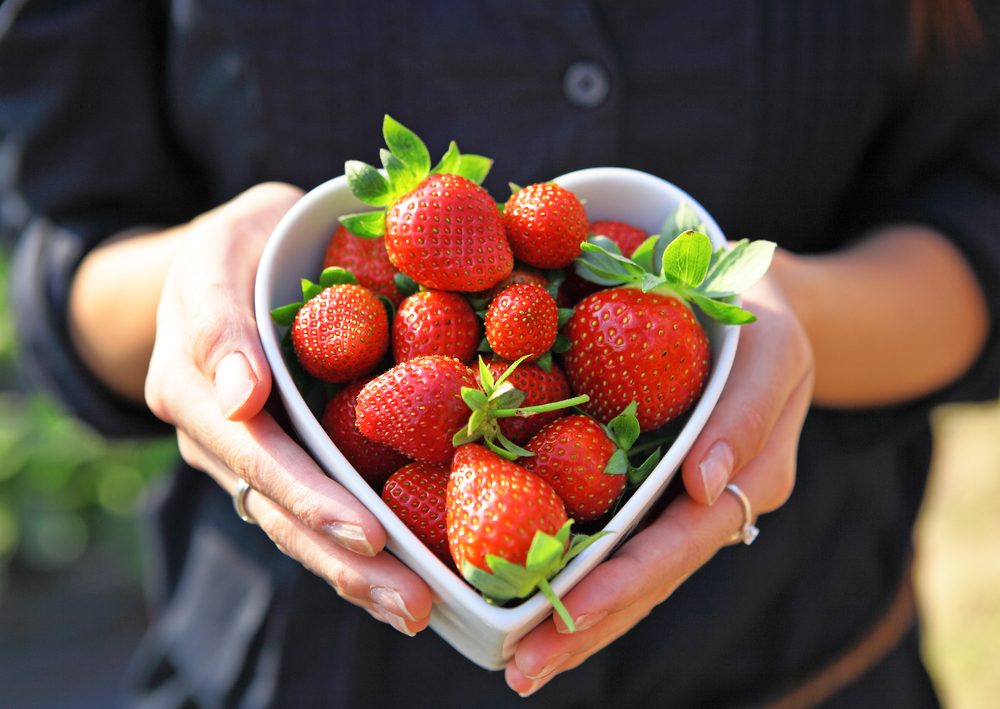 comment planter fraisiers