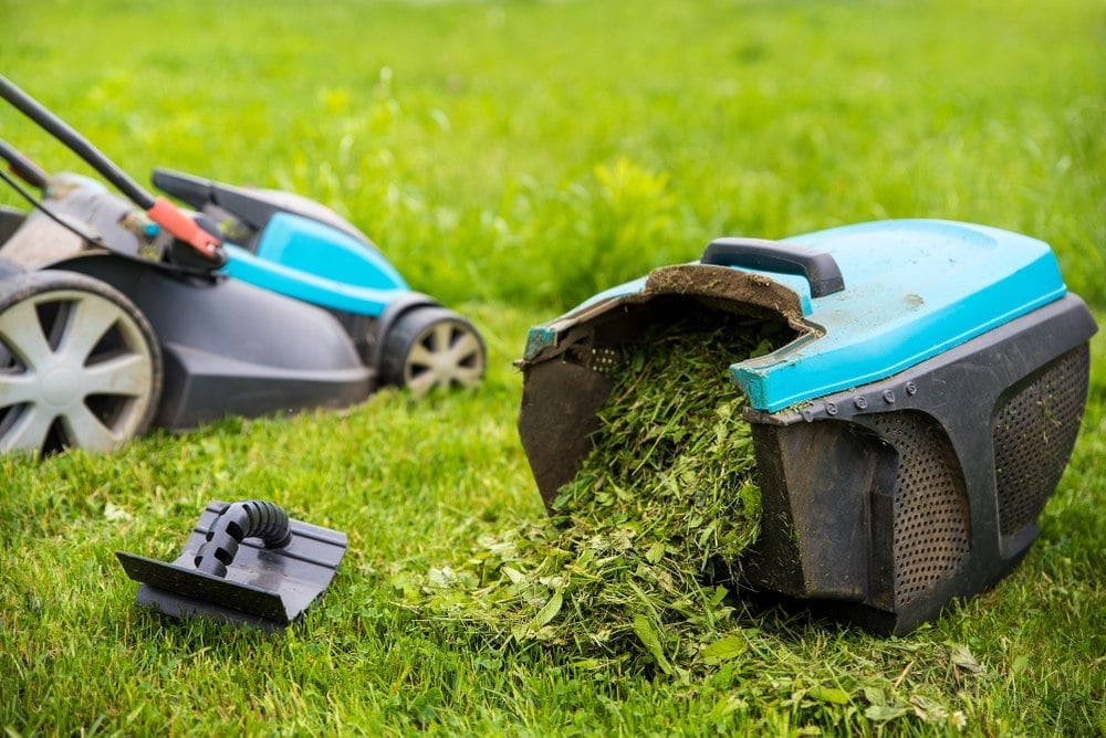 “Je ne vais plus à la déchetterie” : voici comment réutiliser votre herbe tondue (et c’est ultra malin)