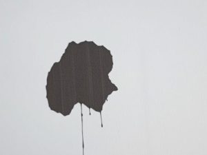 Voici 5 méthodes simples et efficaces pour éliminer définitivement la moisissure de vos murs