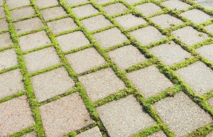 7 astuces efficaces et simples pour enlever rapidement la mousse sur votre terrasse